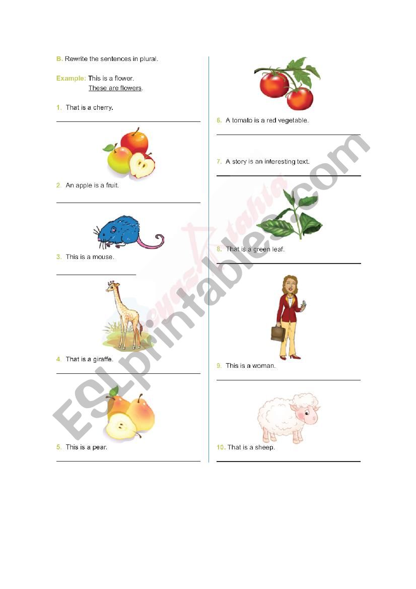 plural of nouns worksheet