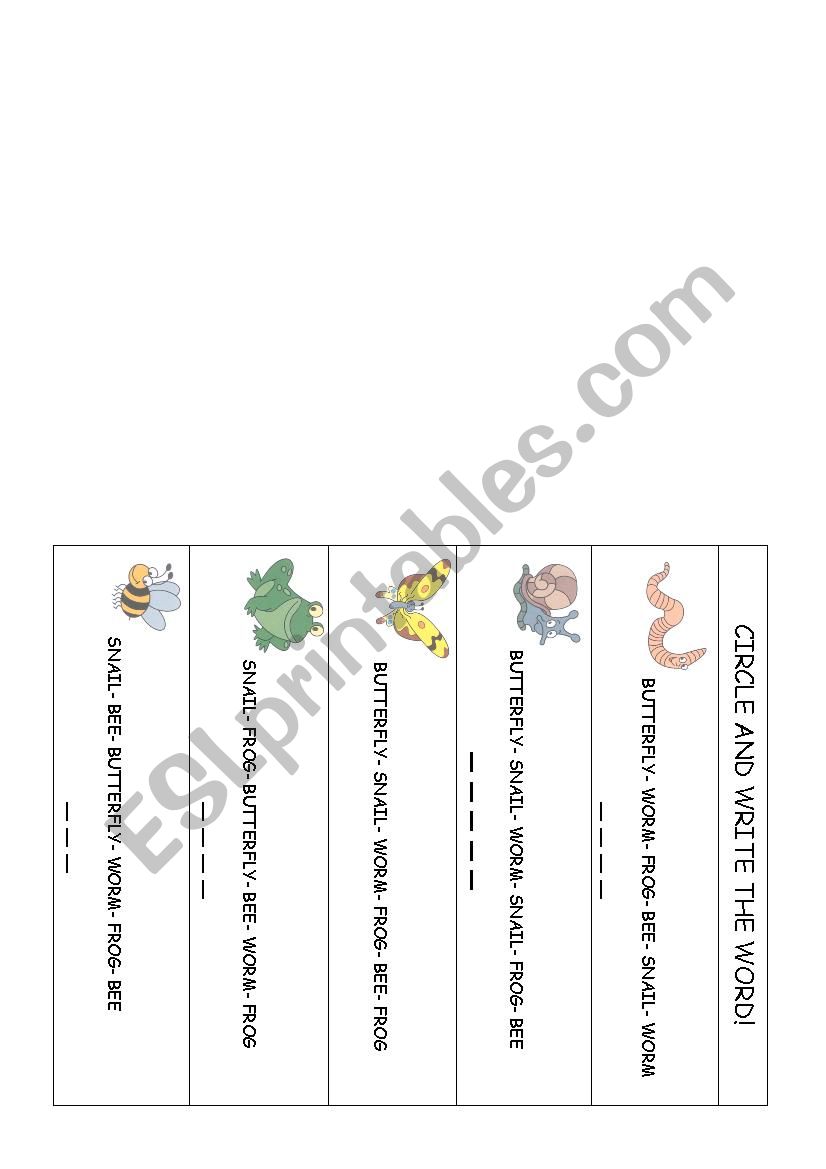 MINI BEASTS worksheet