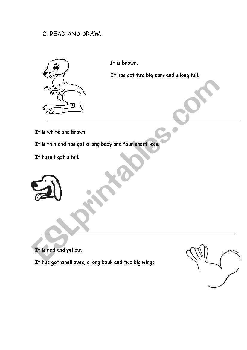 animals parts worksheet