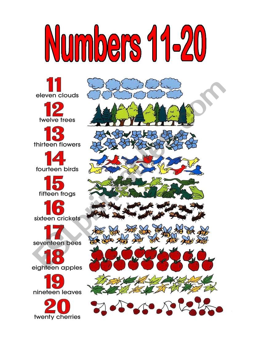 Numbers 11-20 Poster worksheet