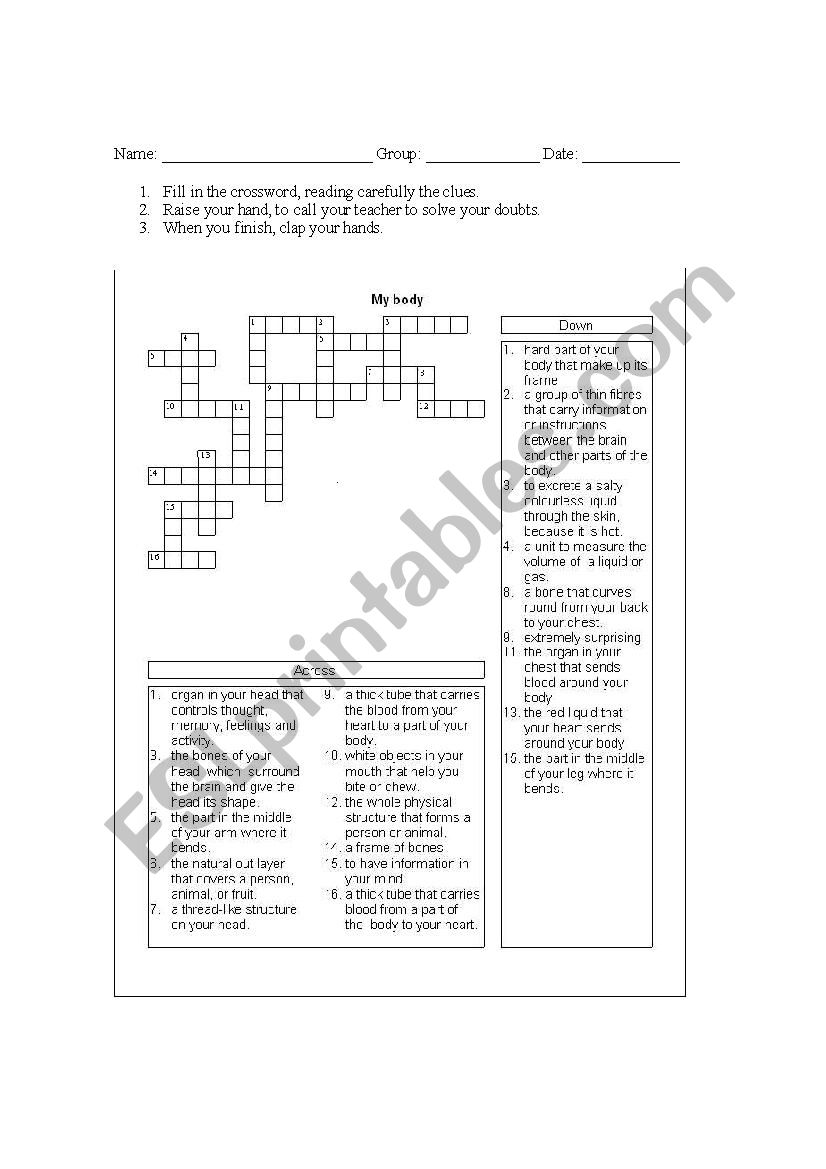 MY BODY worksheet