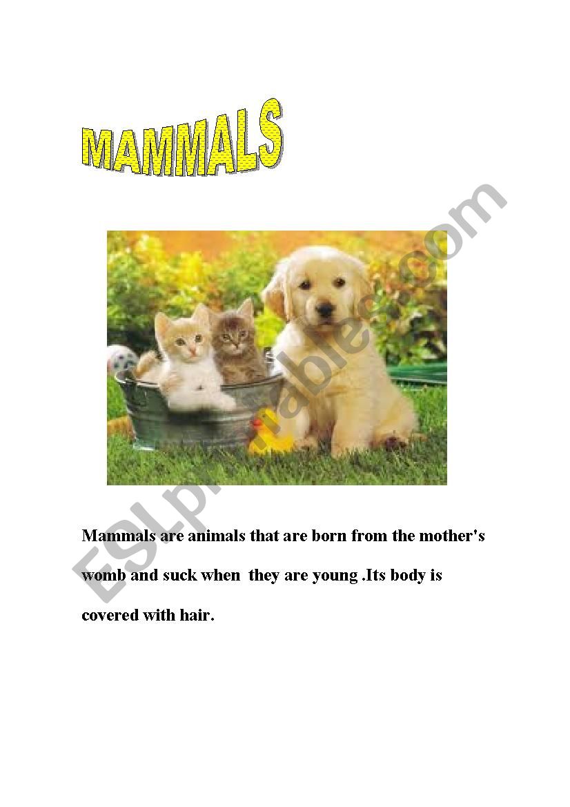 MAMMALS worksheet