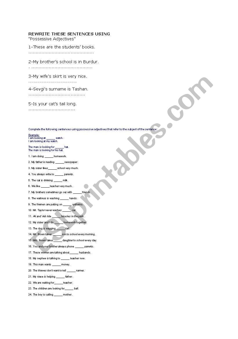 possesive adjectives&pronouns worksheet