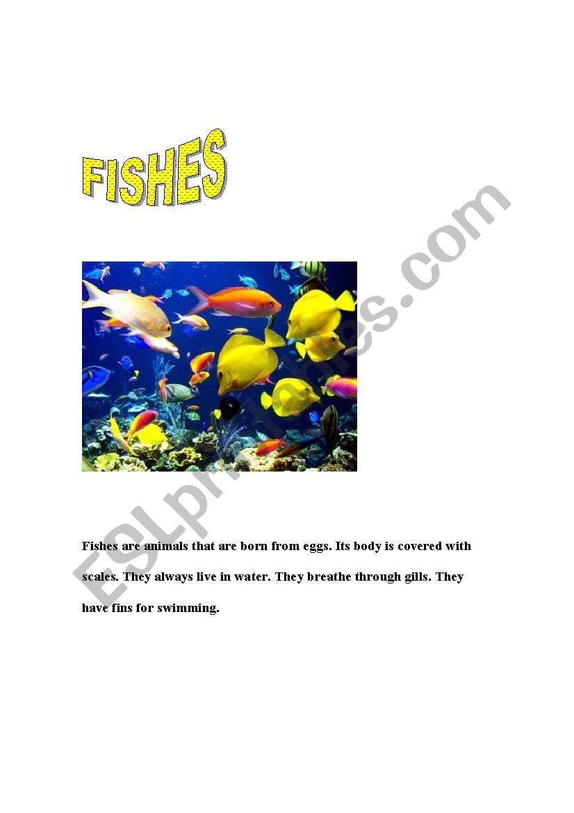 FISHES worksheet