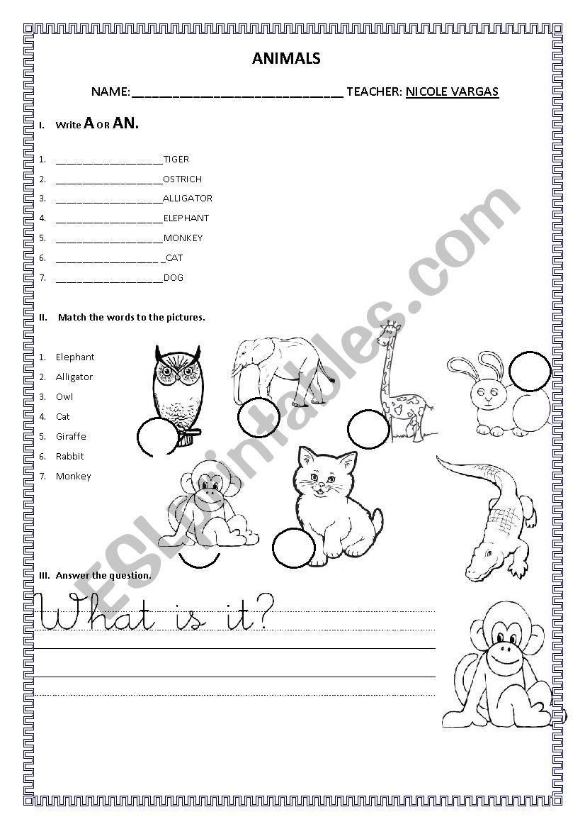 Animals worksheet