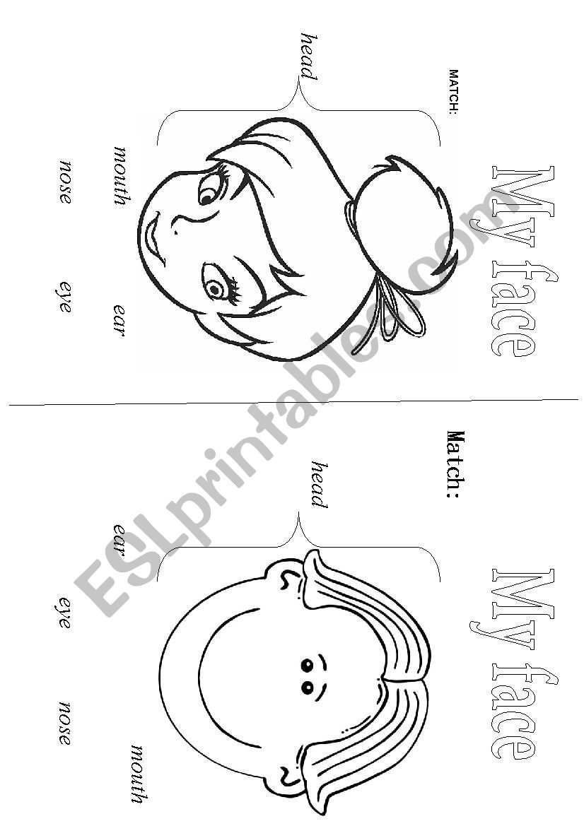 PARTS OF THE FACE worksheet