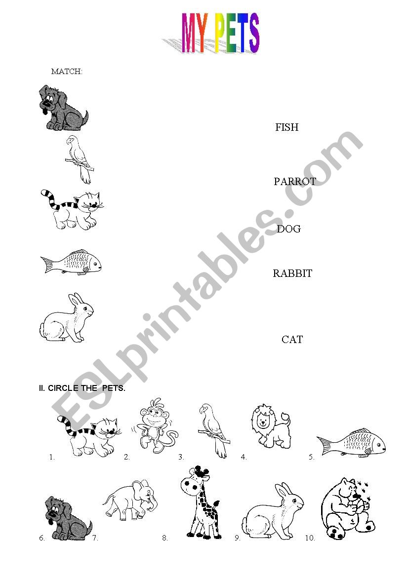 PETS worksheet