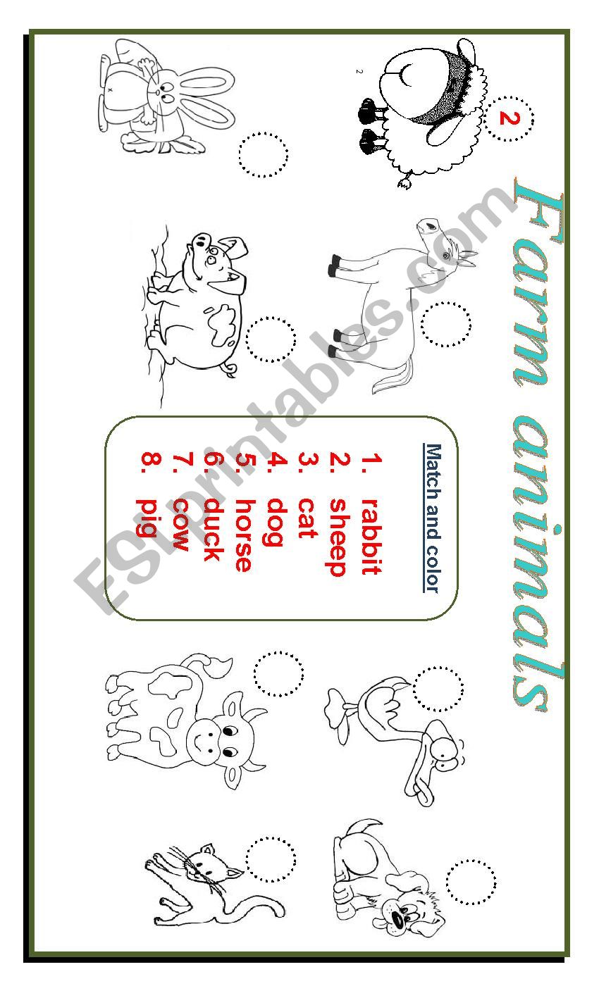 Animals worksheet