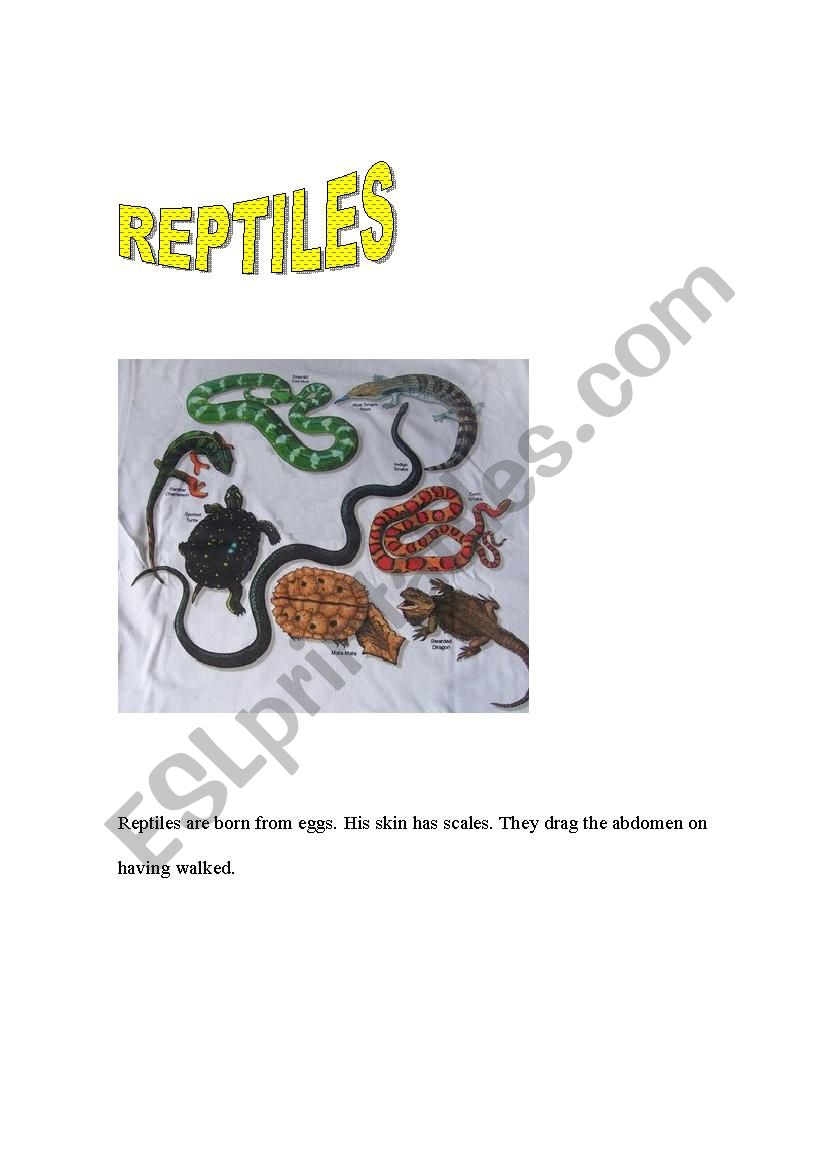 REPTILES worksheet