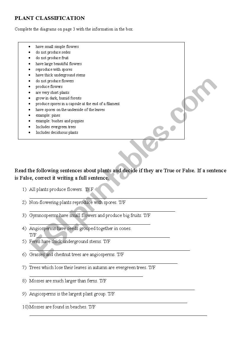 Plant Classification worksheet