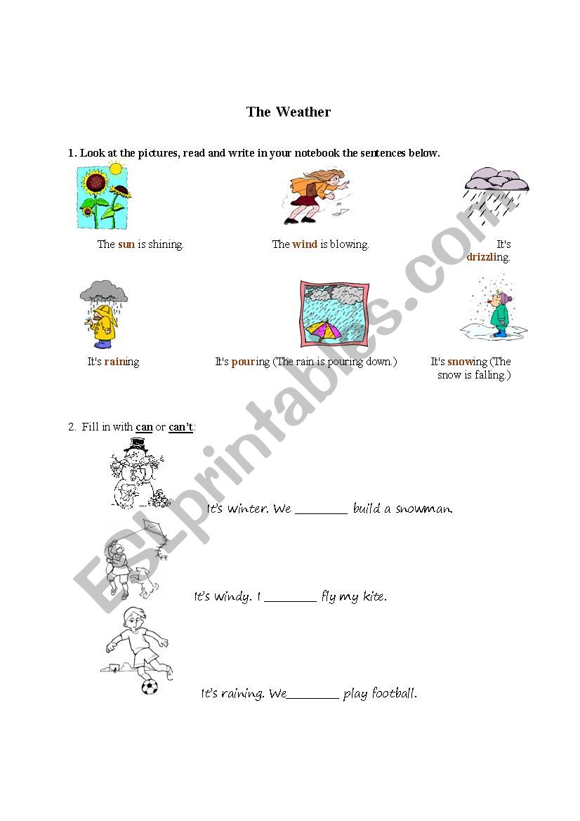 Weather worksheet