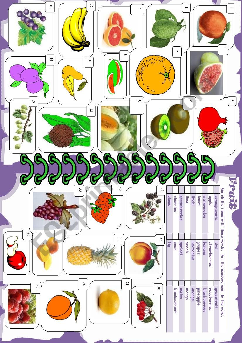 FRUIT worksheet