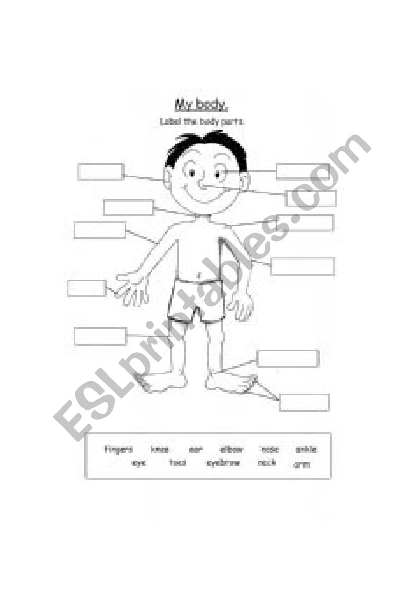 Parts of the body worksheet