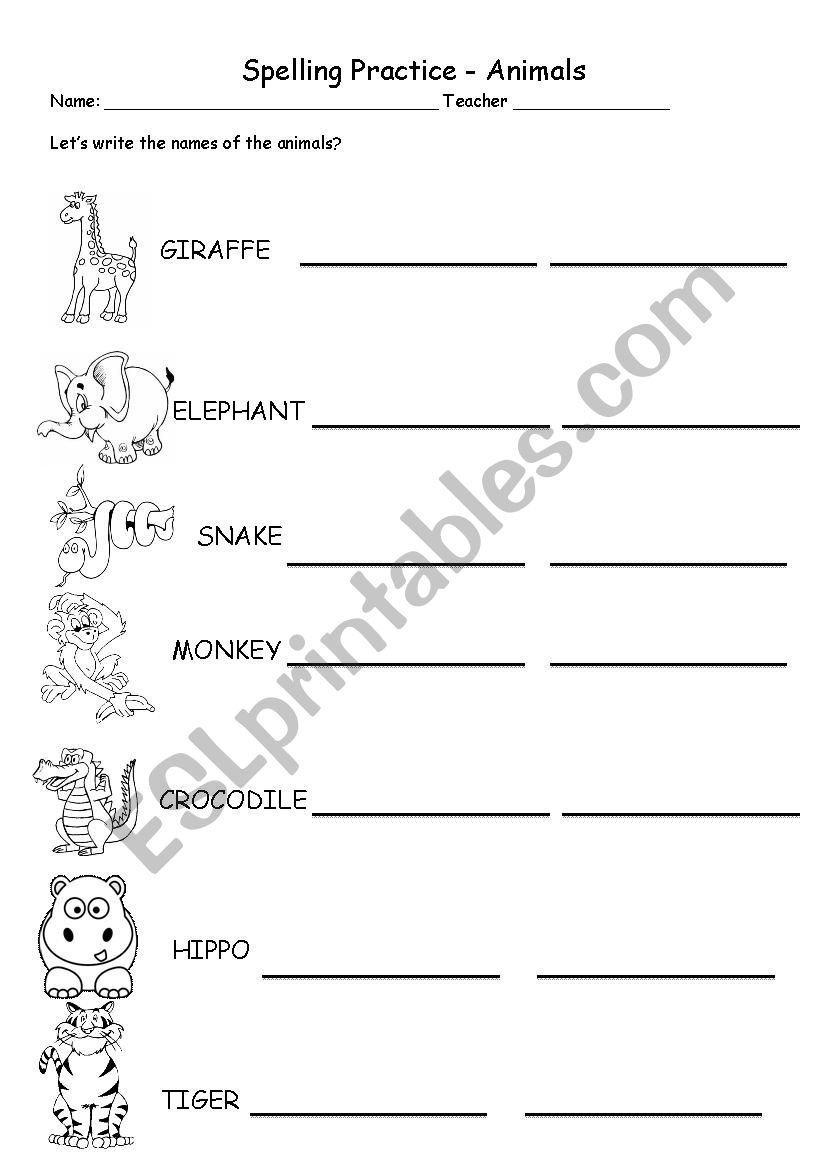 Animals - Spelling practice worksheet