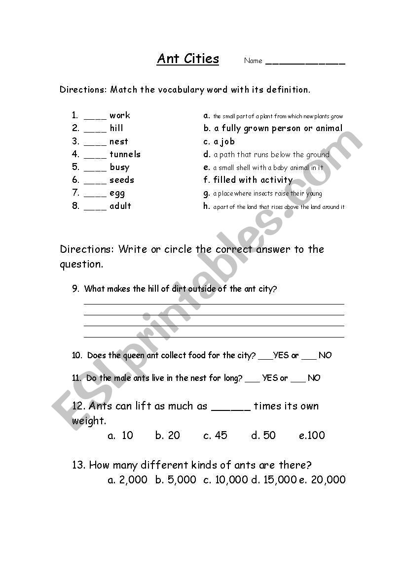 Ant Cities  worksheet