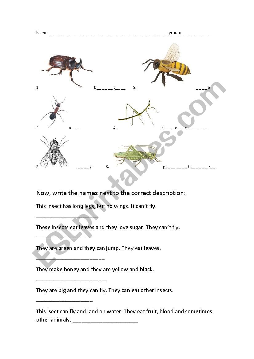 Insects for children and teens