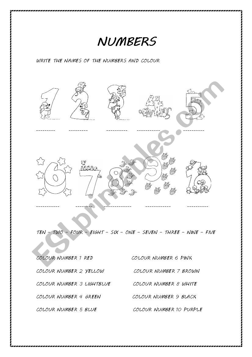 NUMBERS worksheet