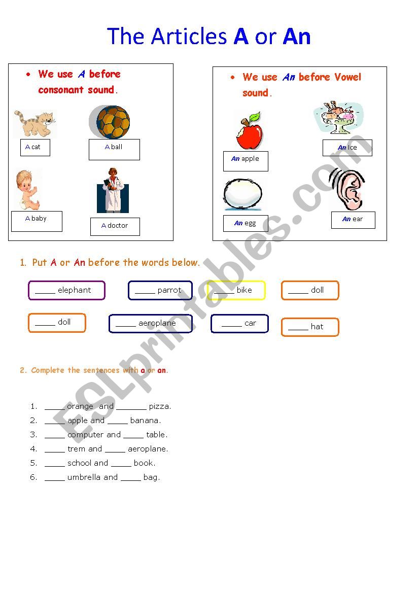 The Article A and An worksheet