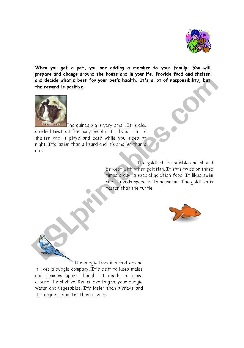 READ ABOUT PETS worksheet