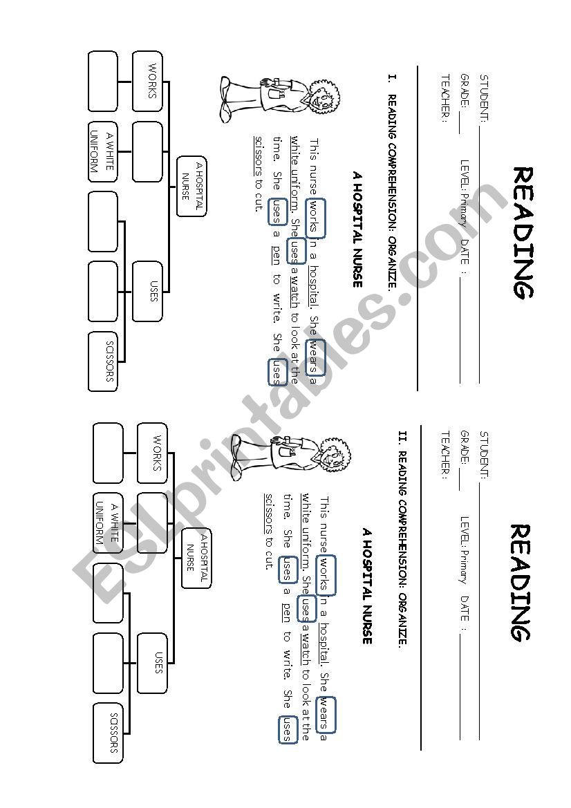 Reading: organize worksheet