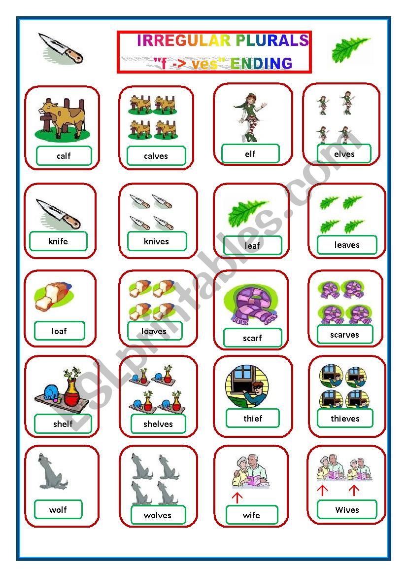 Irregular Plurals Flashcards ves endings