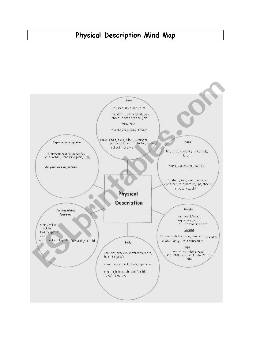 Physical description Mind Map worksheet
