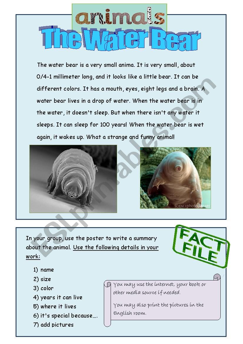 the water bear worksheet
