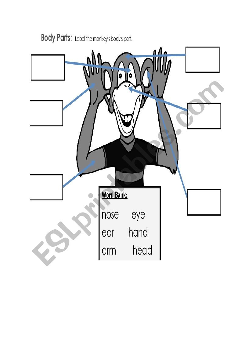 parts of body worksheet