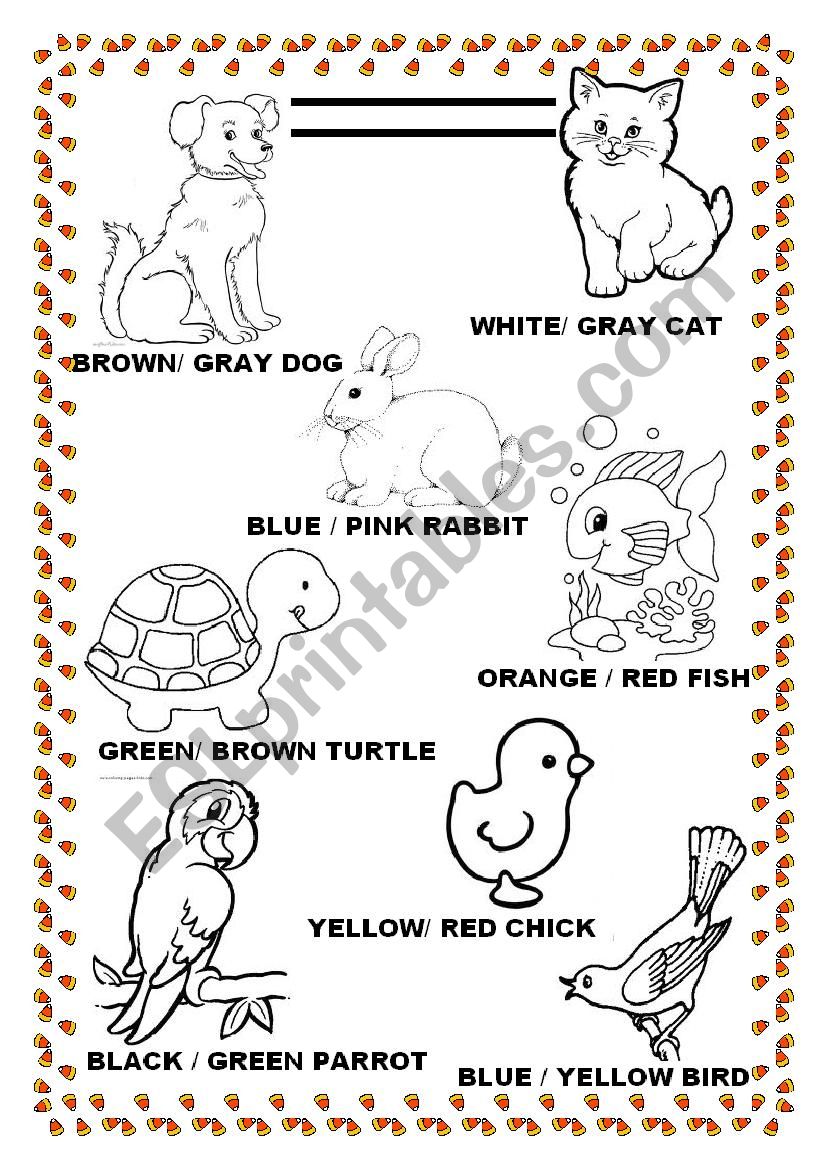 Animals and colors  worksheet