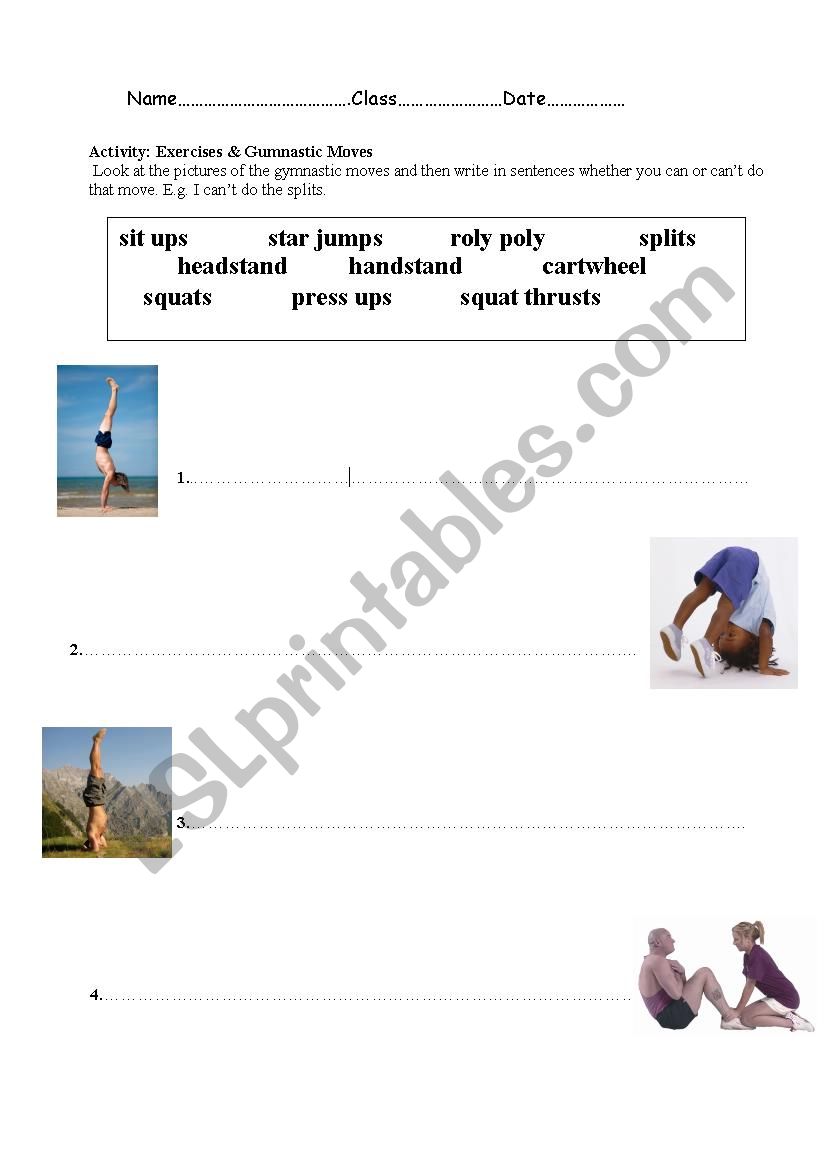 Exercises & Gymnastics  worksheet
