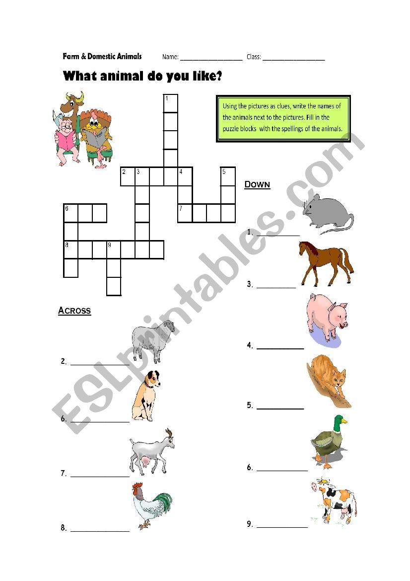 animal crossword worksheet