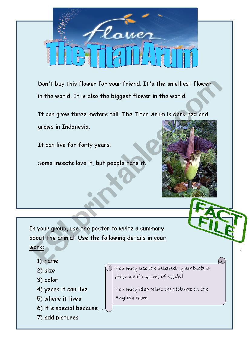 titan arum worksheet