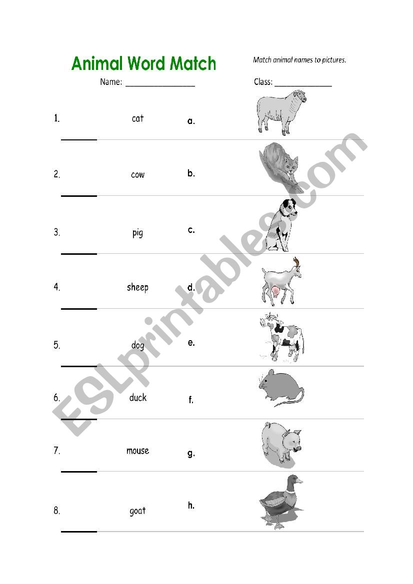 animal matching worksheet