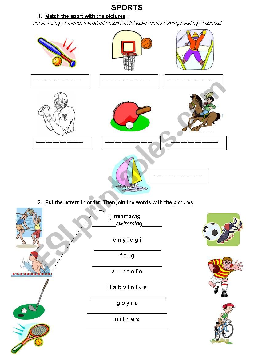 Sports worksheet