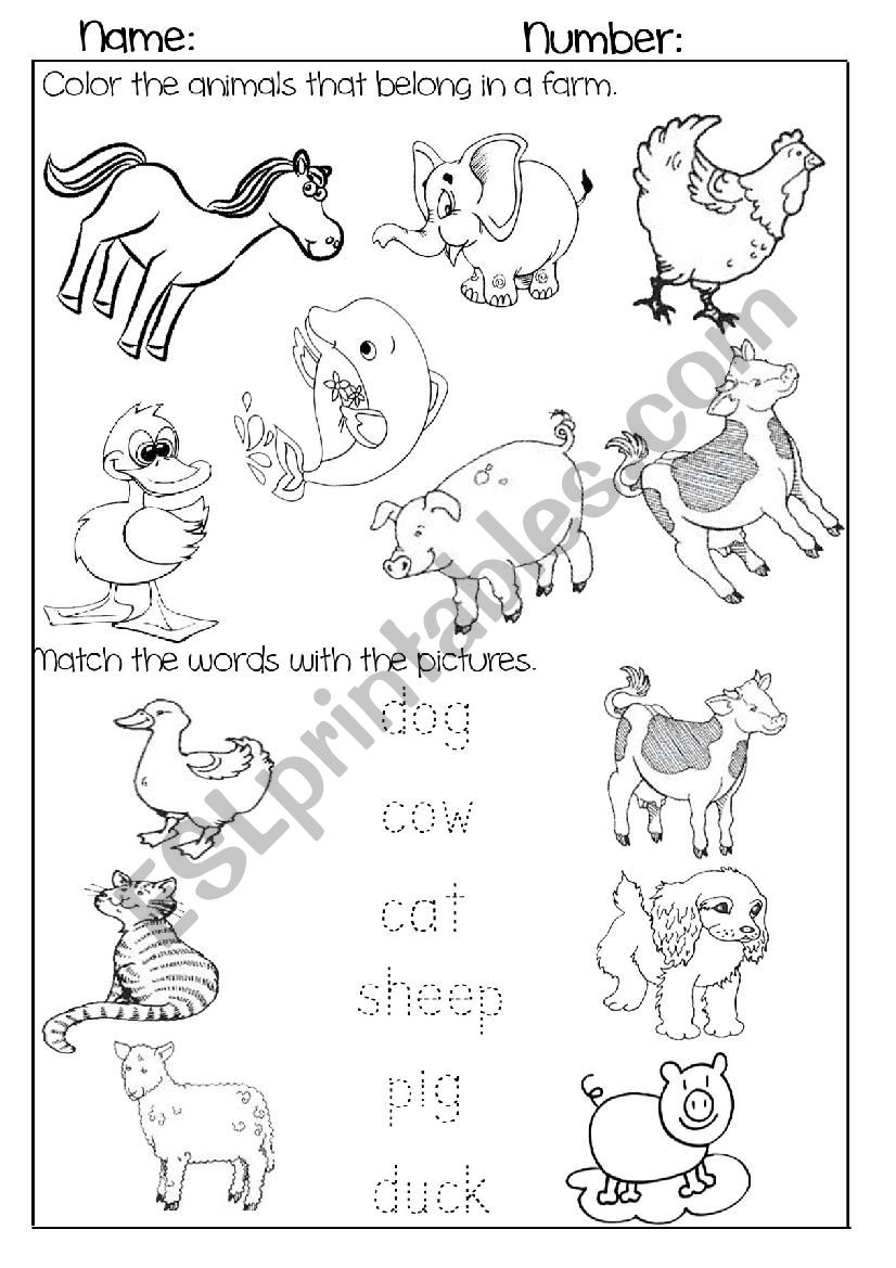 Farm Animals worksheet