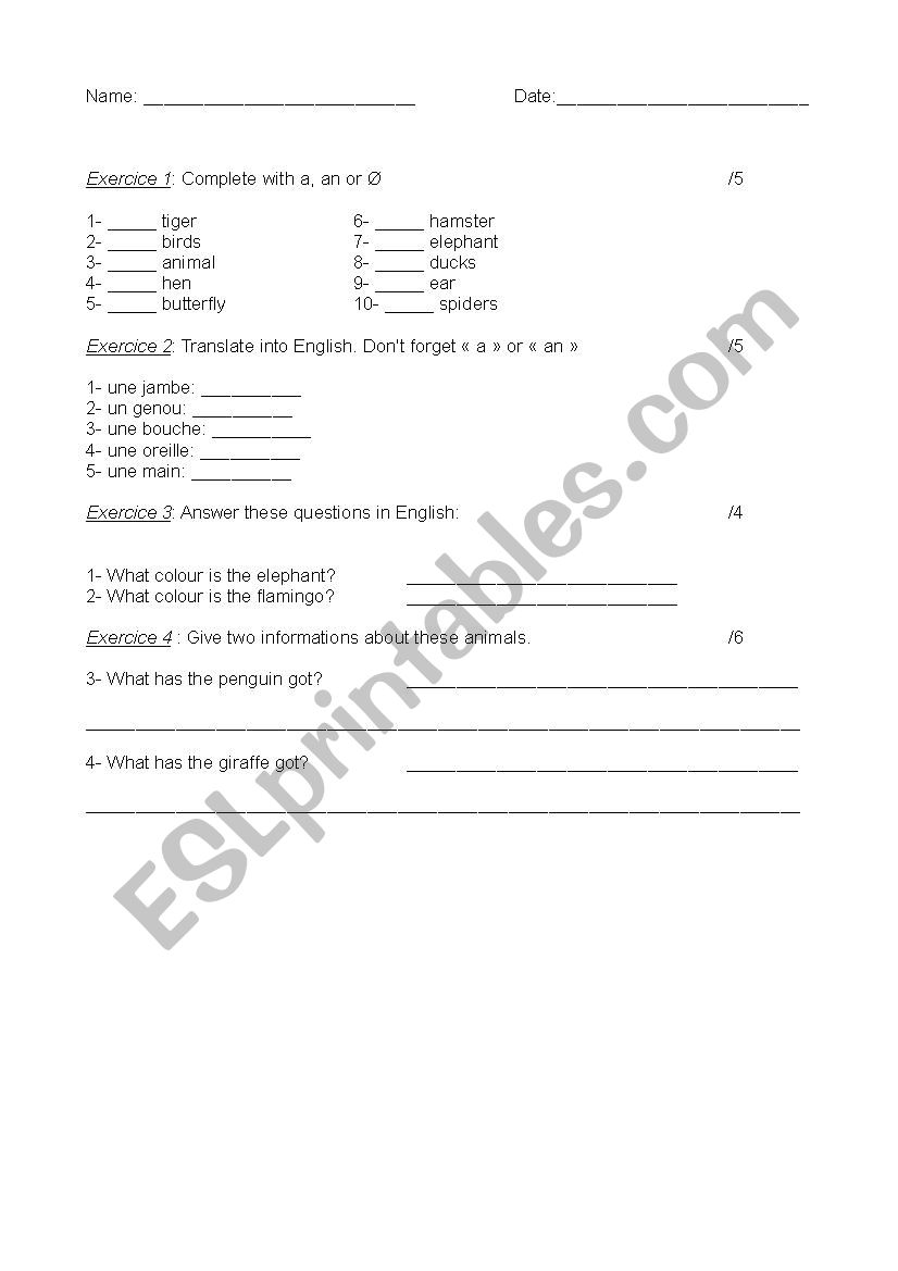 test a, an and have got worksheet