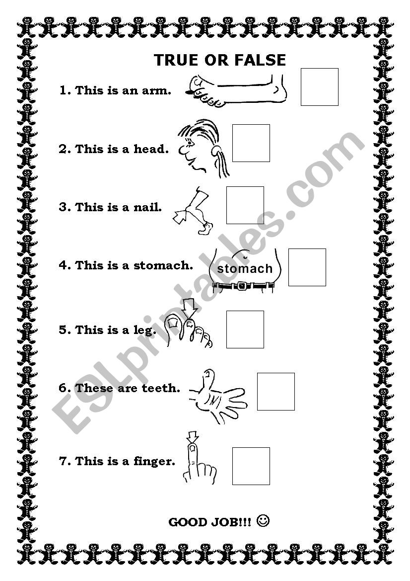 Body - true or false worksheet