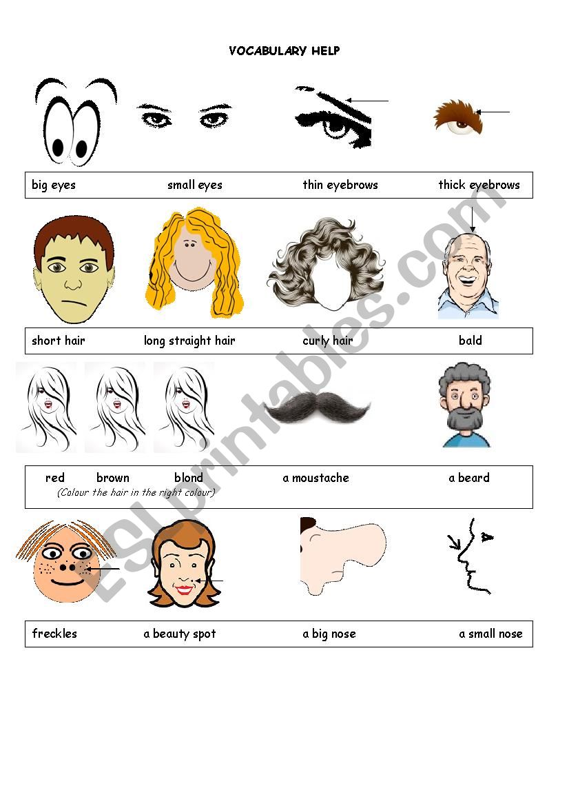 Identikit worksheet