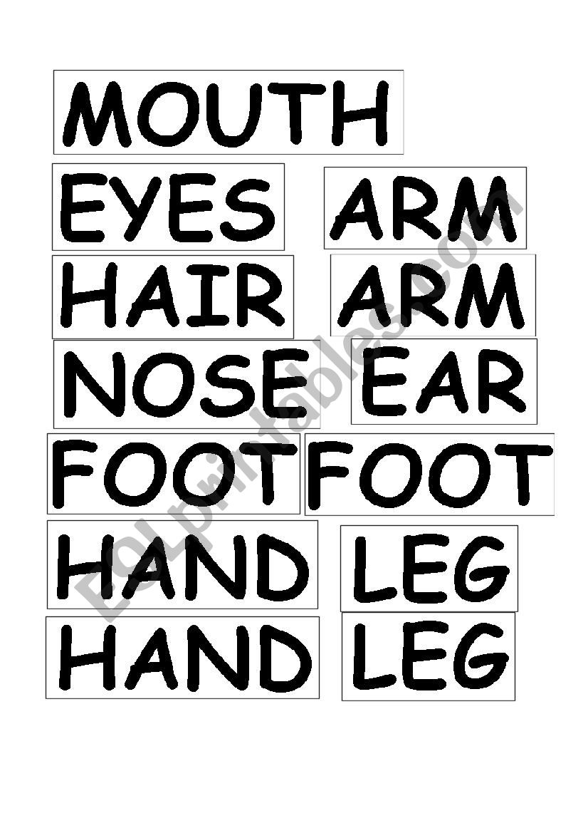 Parts of the body worksheet