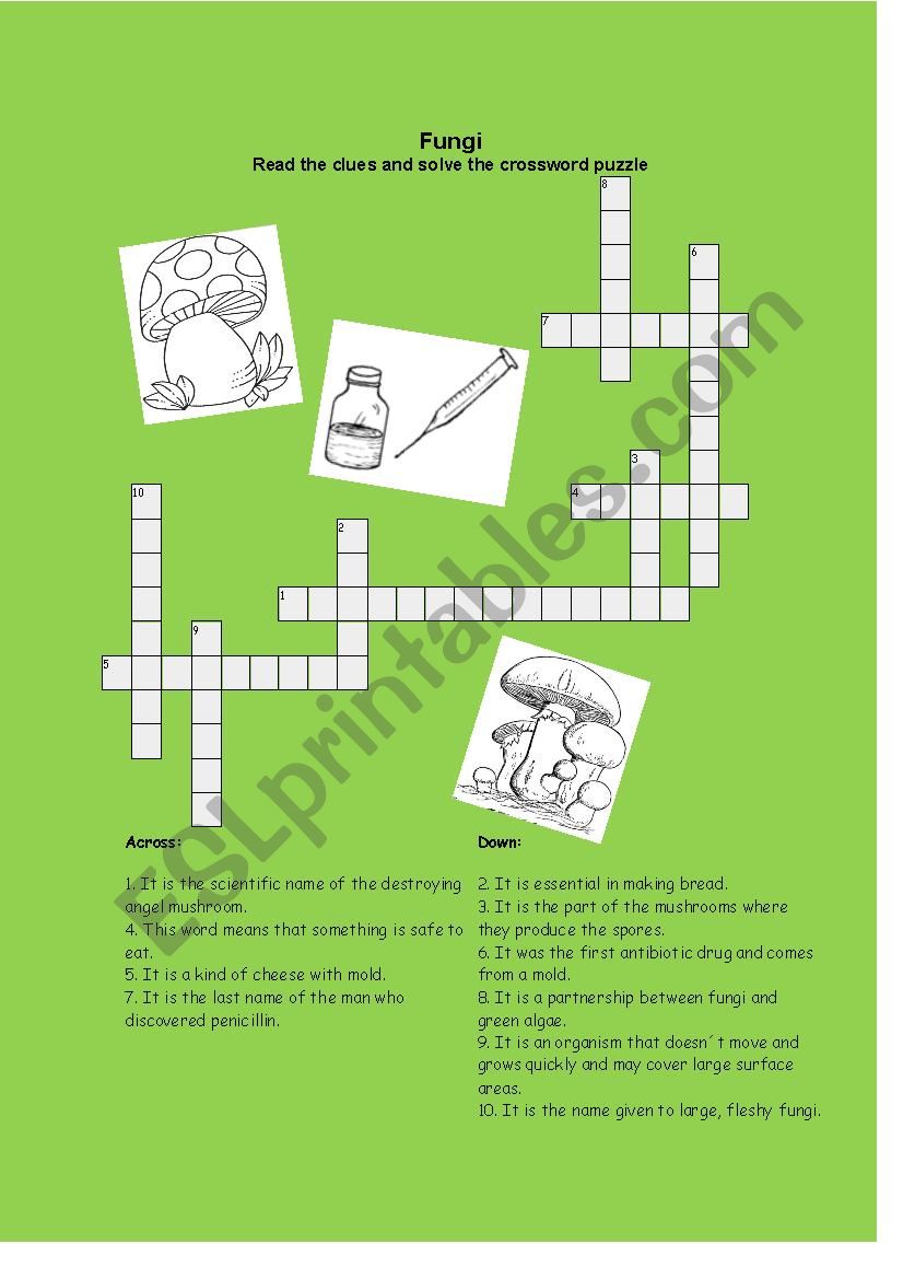 Fungi crossword worksheet