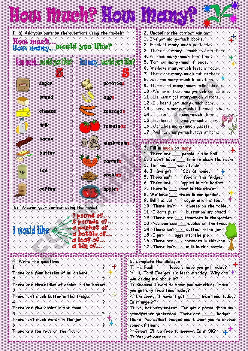 How much? How many? worksheet