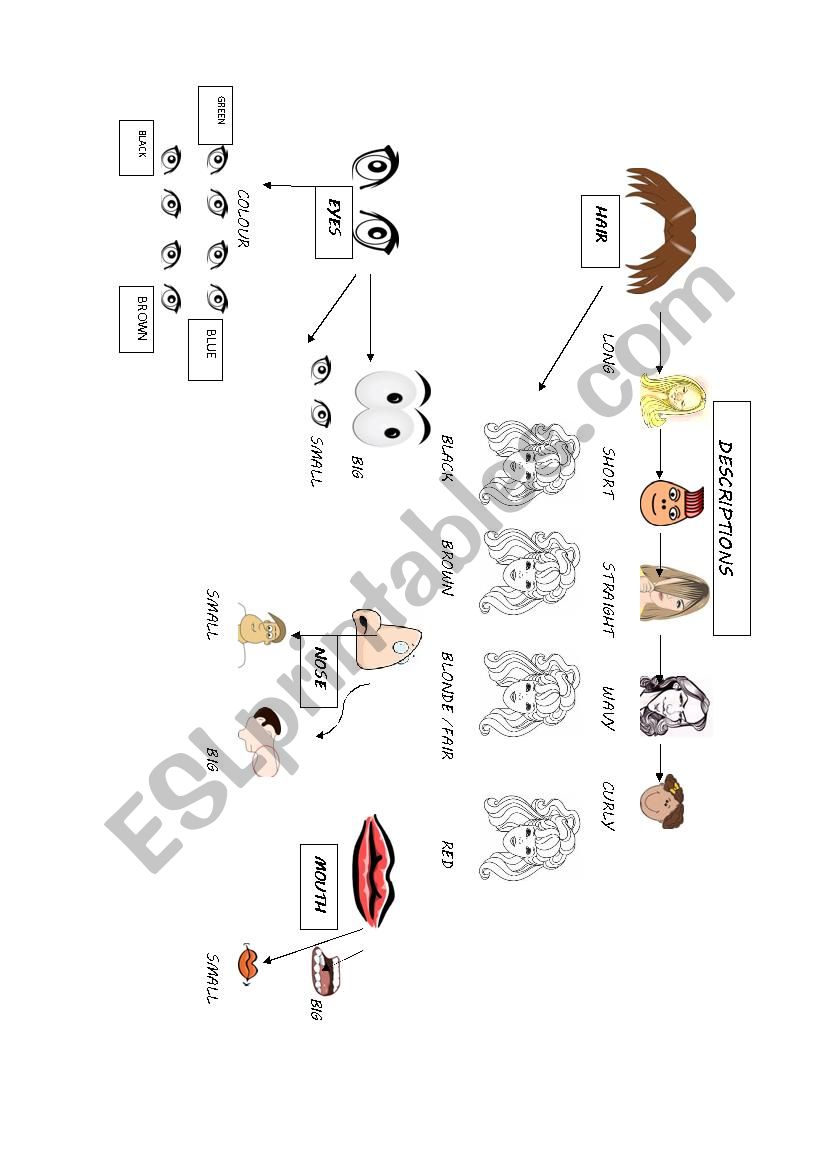 DESCRIPTIONS VOCABULARY SHEET worksheet