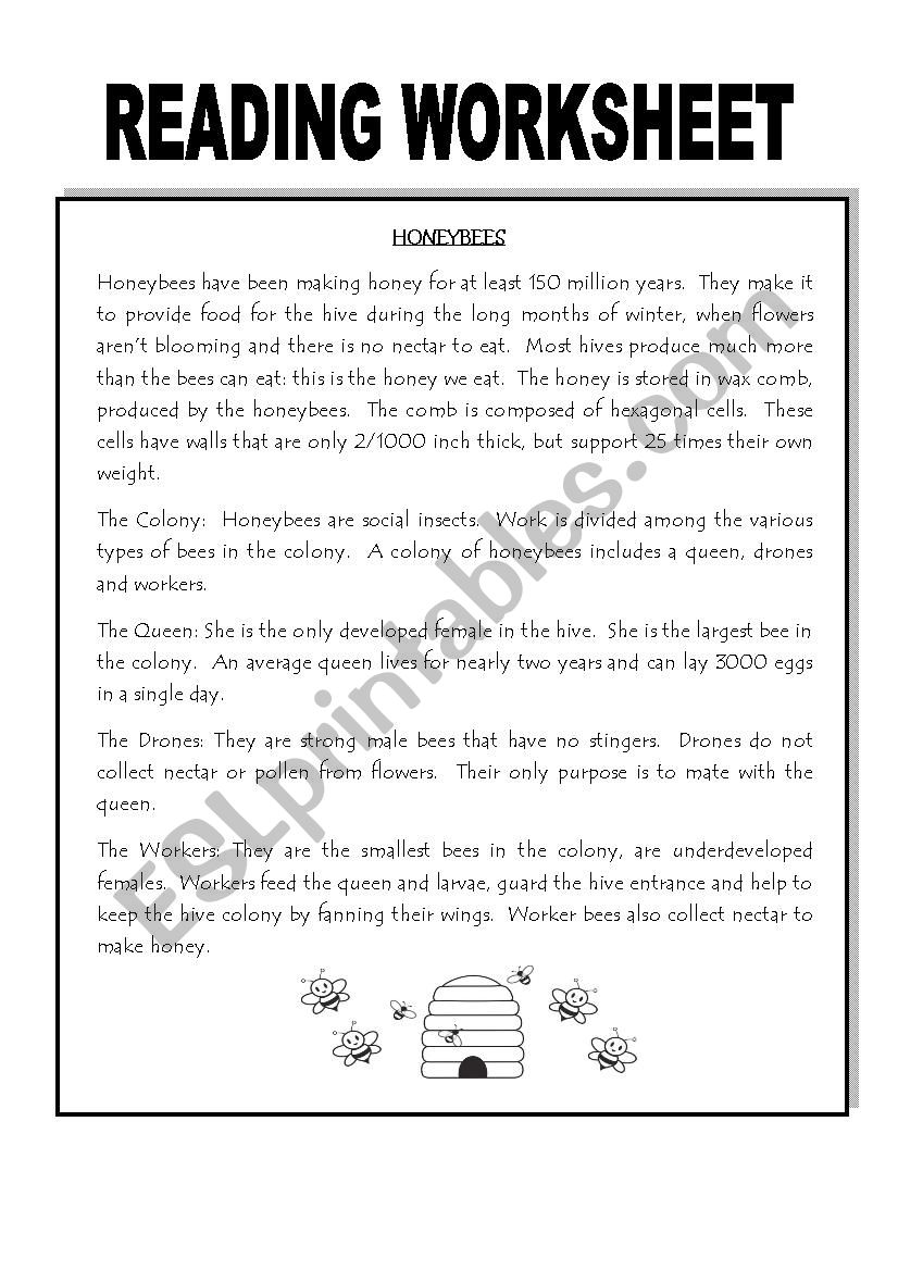 Reading Worksheet  worksheet