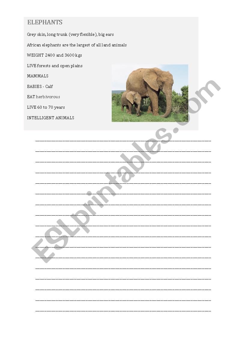 Writing about elephants worksheet
