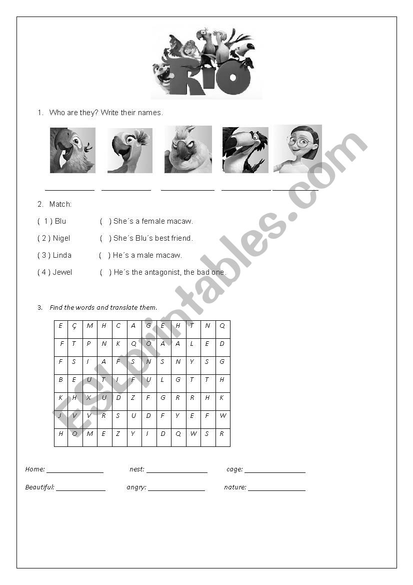 RIO MOVIE worksheet