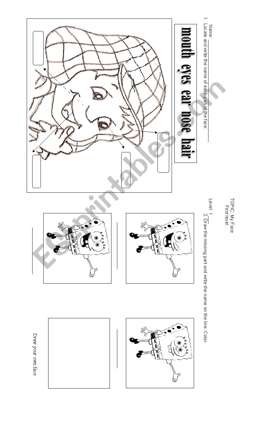 PARTS OF THE FACE worksheet