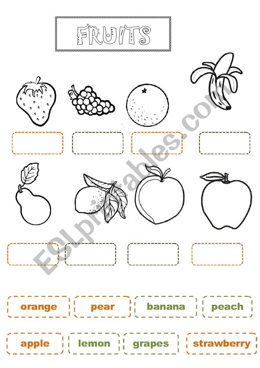 fruits worksheet