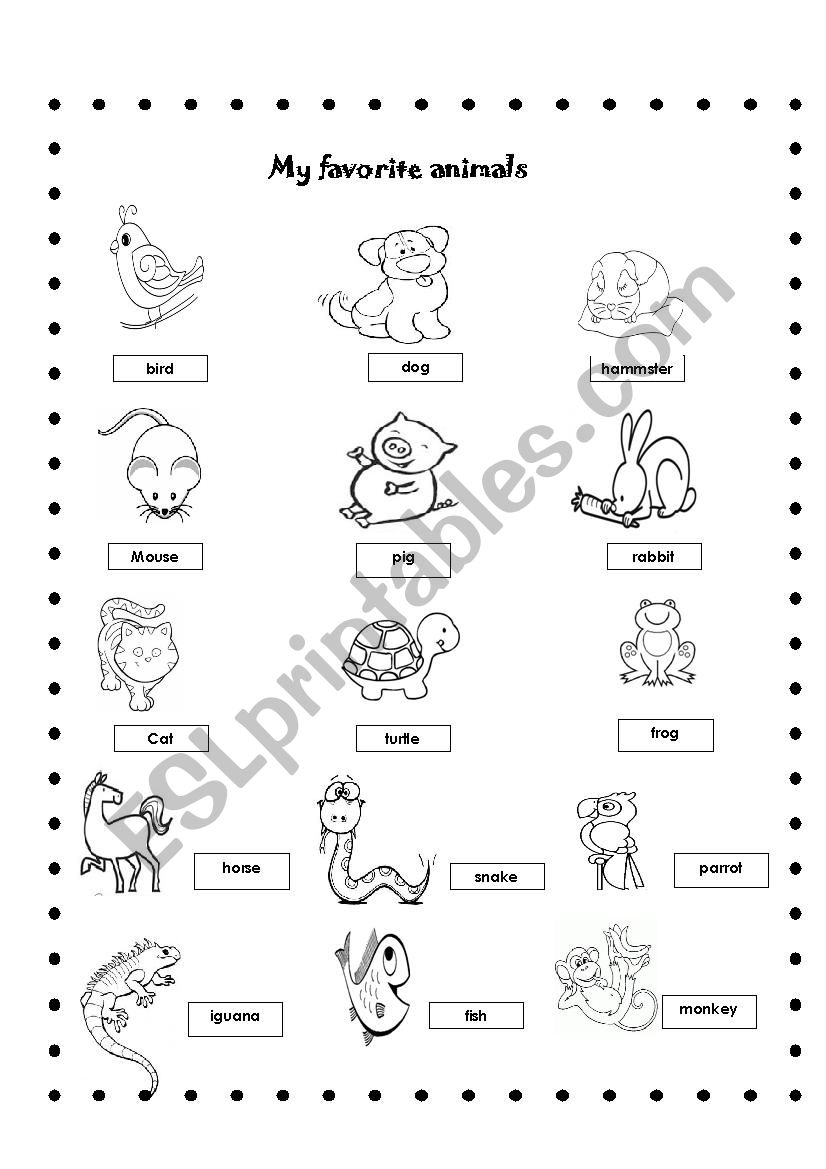 my favorite animals worksheet