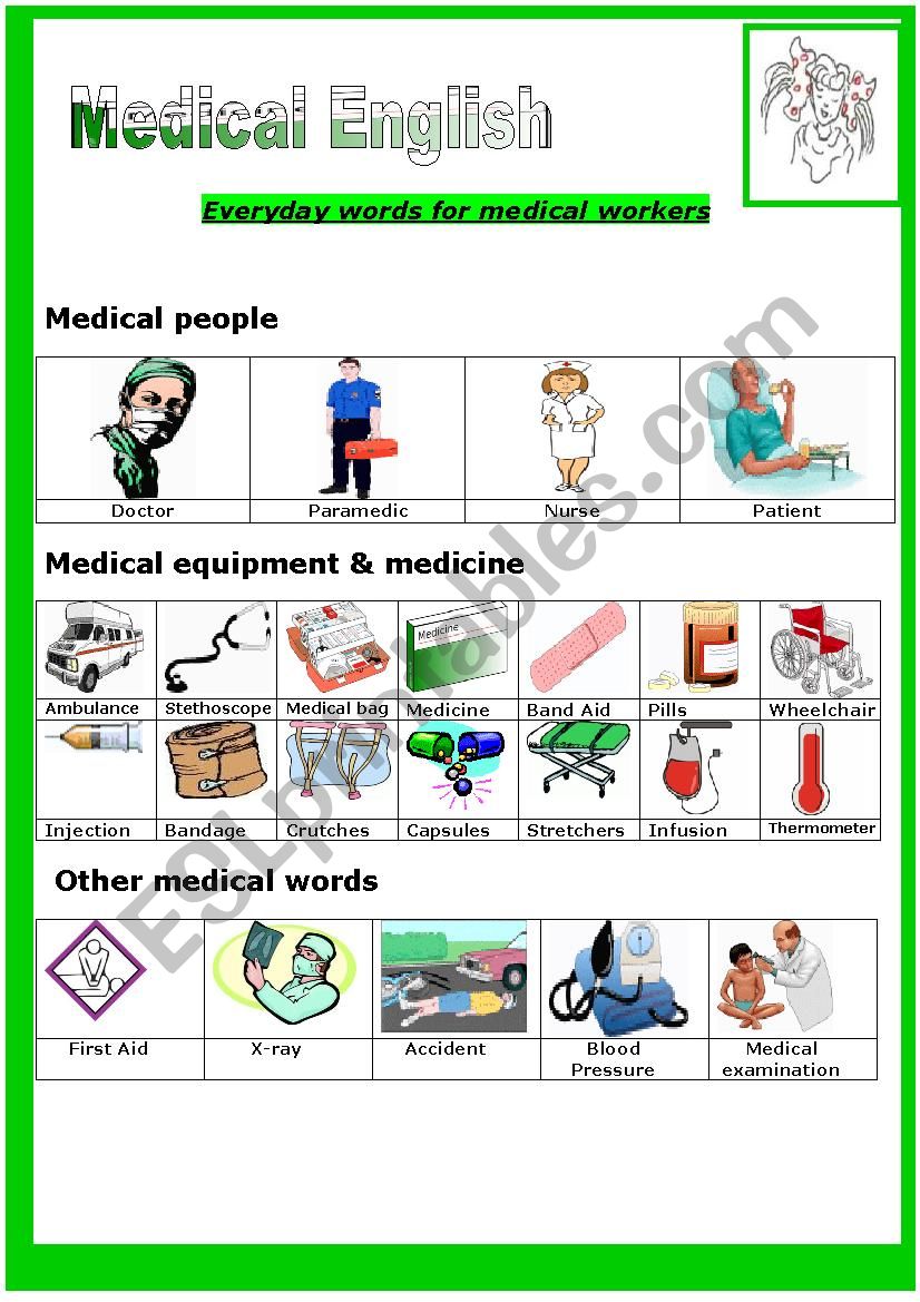 Medical English (beginners) worksheet