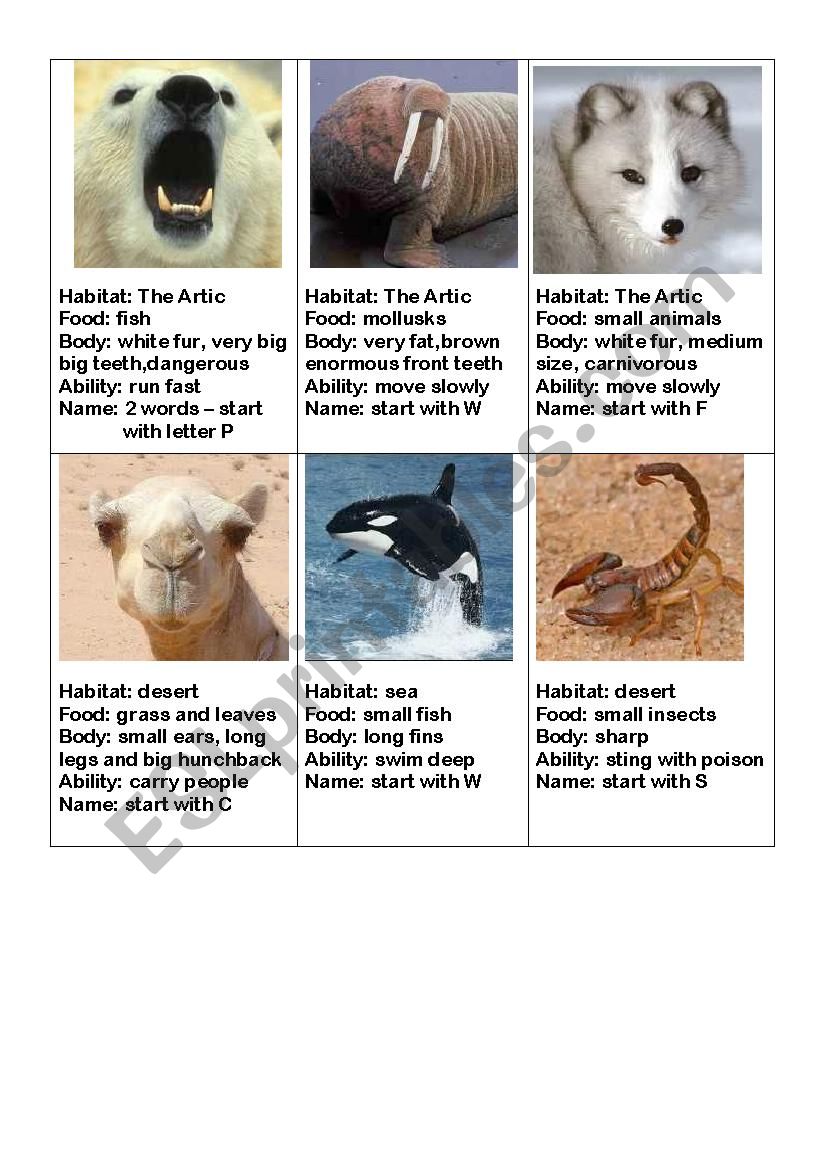 Animals card guessing game part 1 - ESL worksheet by tiasi